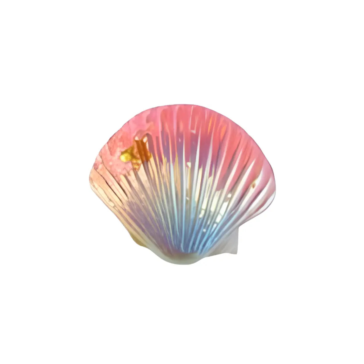 COQUILLAGES – Image 2