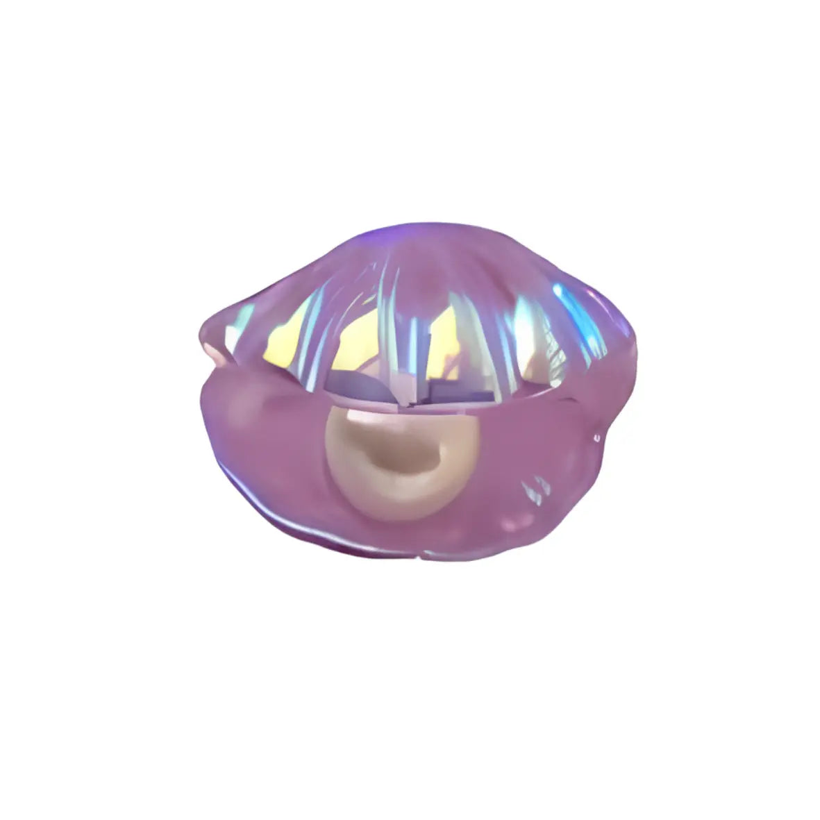 COQUILLAGES – Image 3