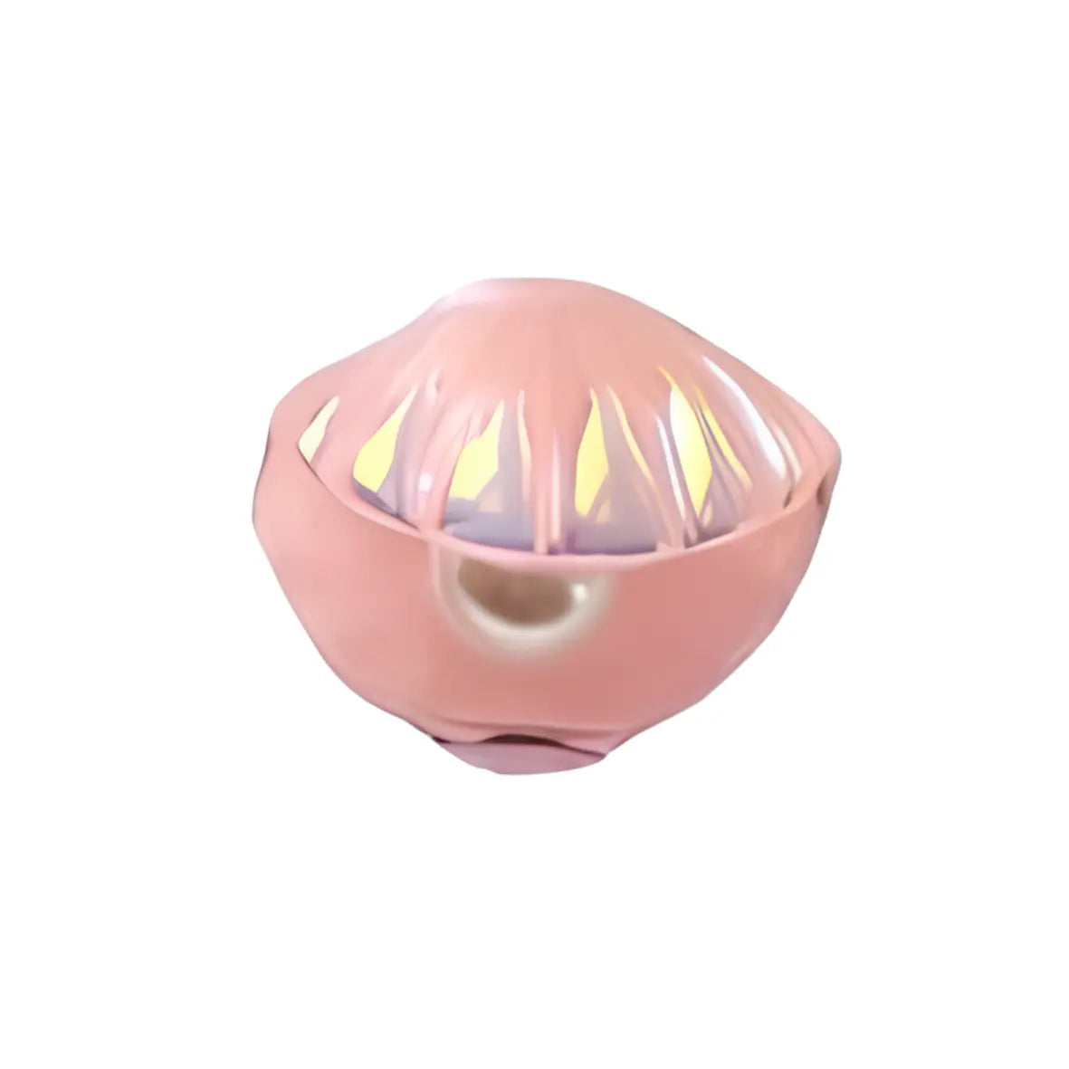 COQUILLAGES – Image 4