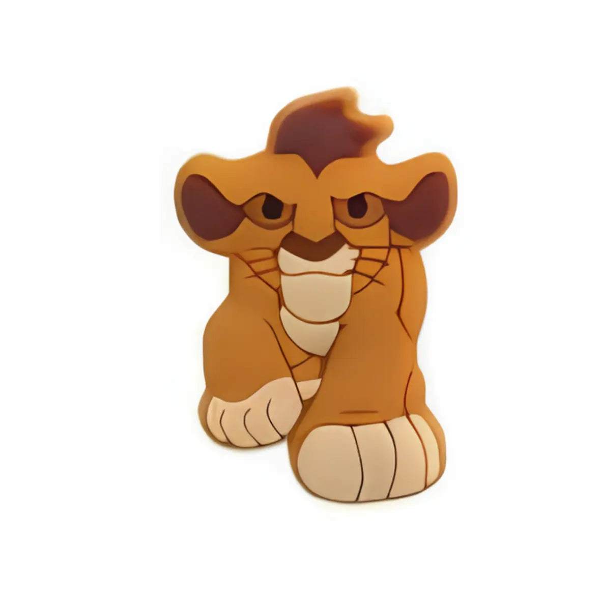 ROI LION – Image 5