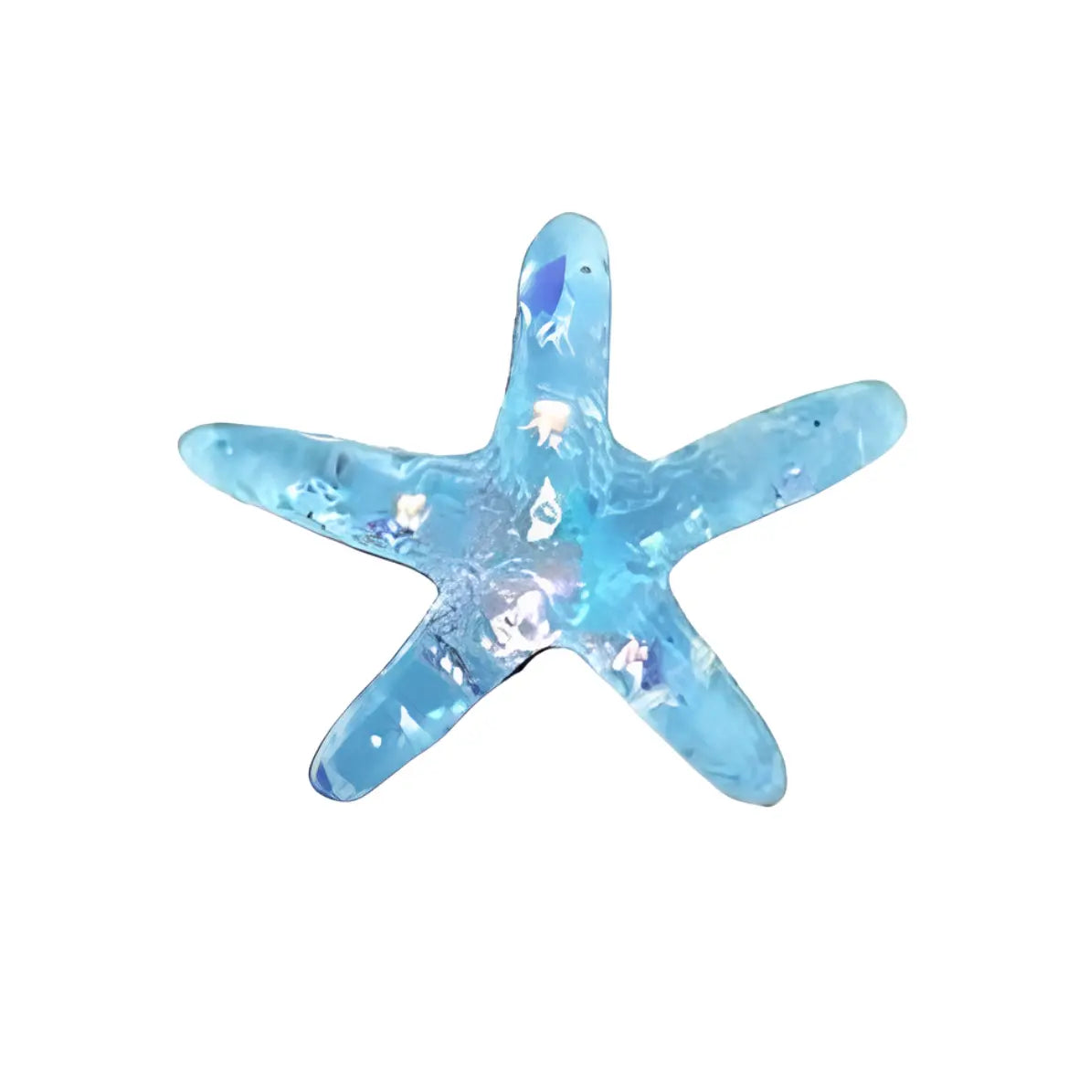 COQUILLAGES – Image 7