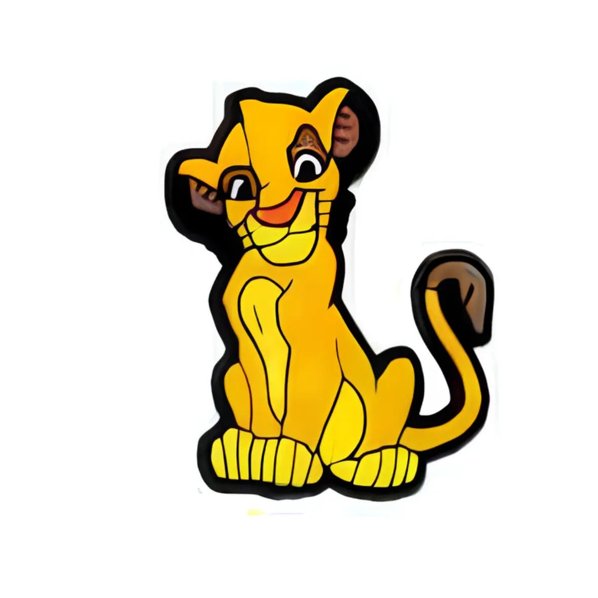 ROI LION – Image 7