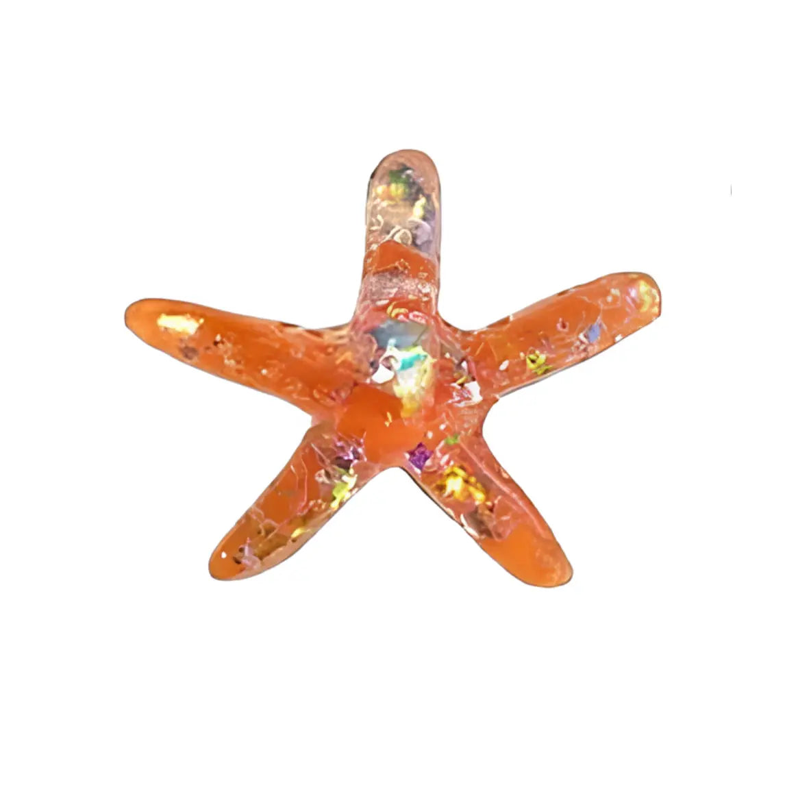 COQUILLAGES – Image 8